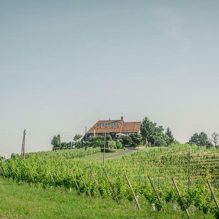 Taverna & Wine Jeruzalem Ivanjkovci Luaran gambar