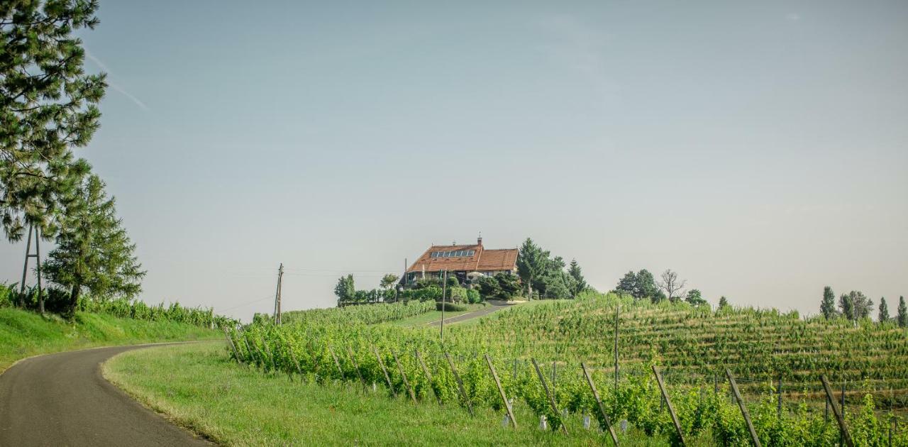 Taverna & Wine Jeruzalem Ivanjkovci Luaran gambar